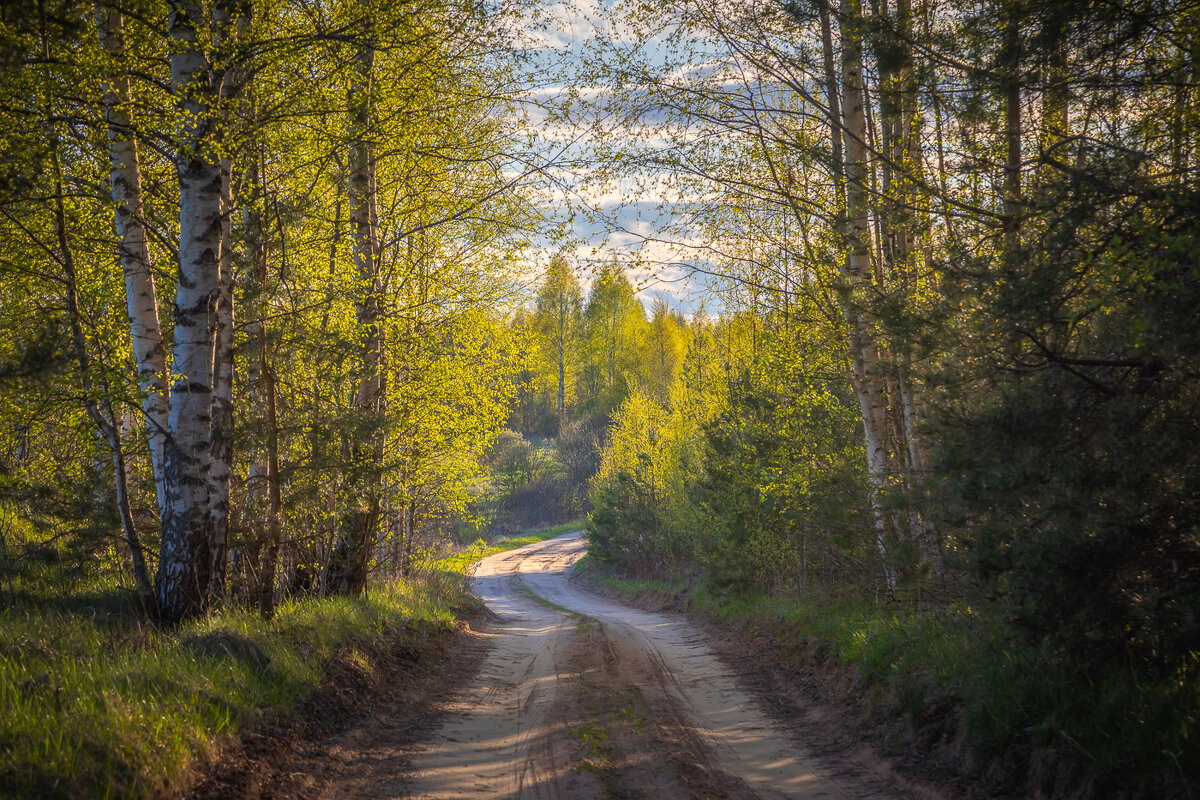 **** - Елизавета .