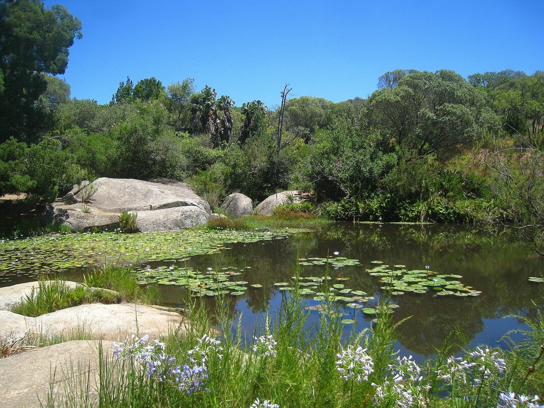 Озеро Меулуотер, ЮАР. - unix (Илья Утропов)