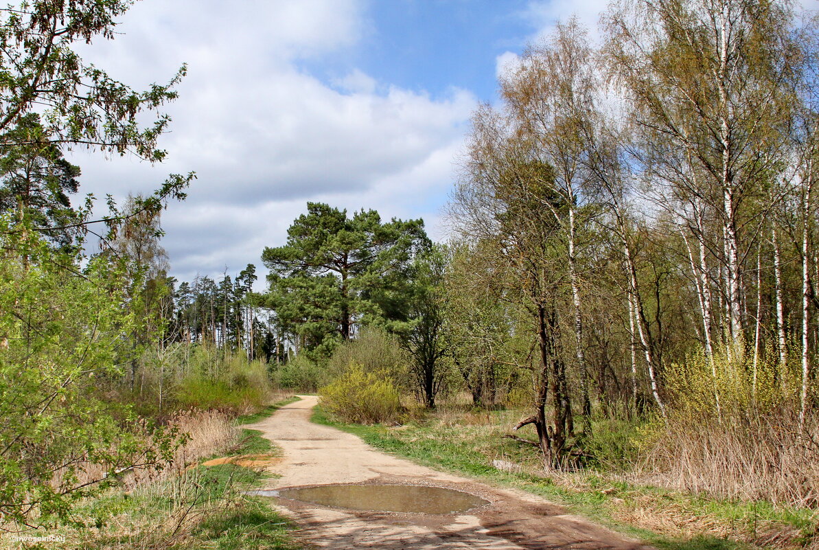 ПОДМОСКОВЬЕ... - mveselnickij ПОДМОСКОВЬЕ... - mveselnickij