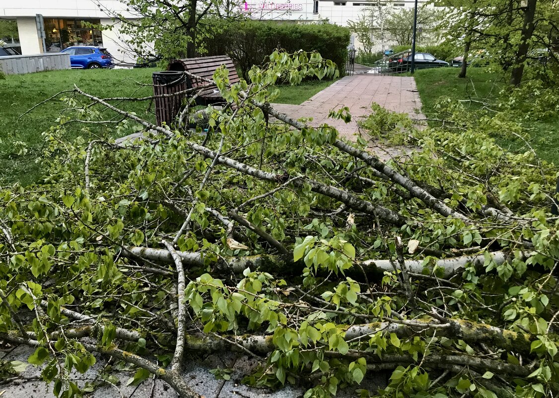 Эх, пронёсся ветерок…( - Любовь 