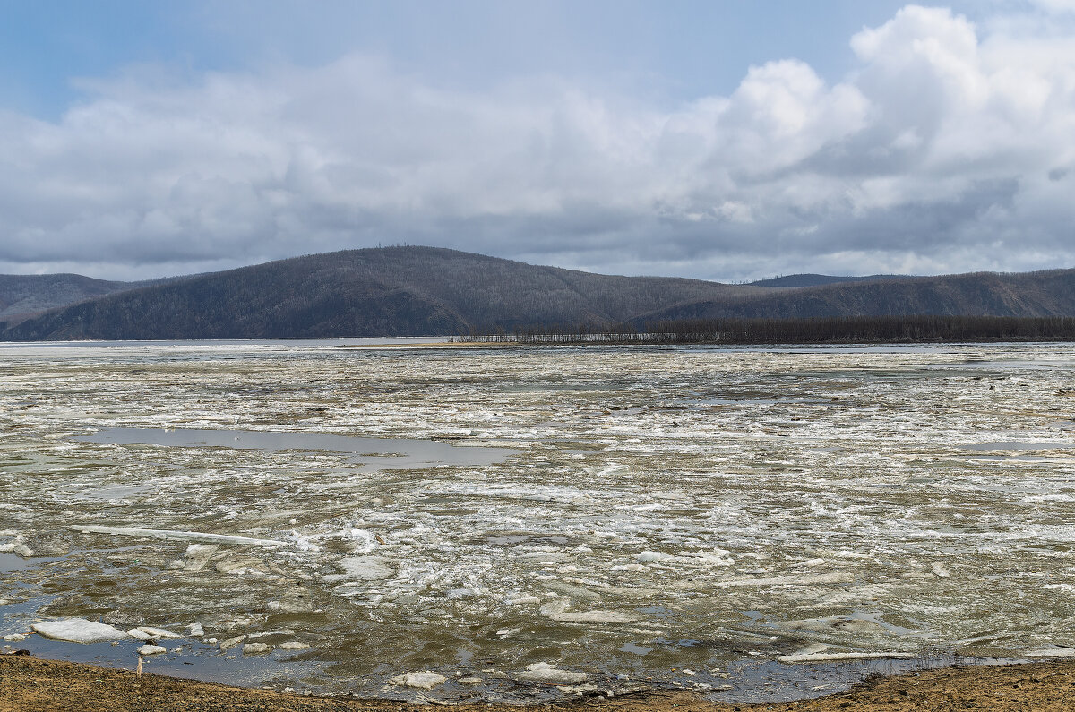 Весенний Амур. - Виктор Иванович Чернюк Весенний Амур. - Виктор Иванович Чернюк