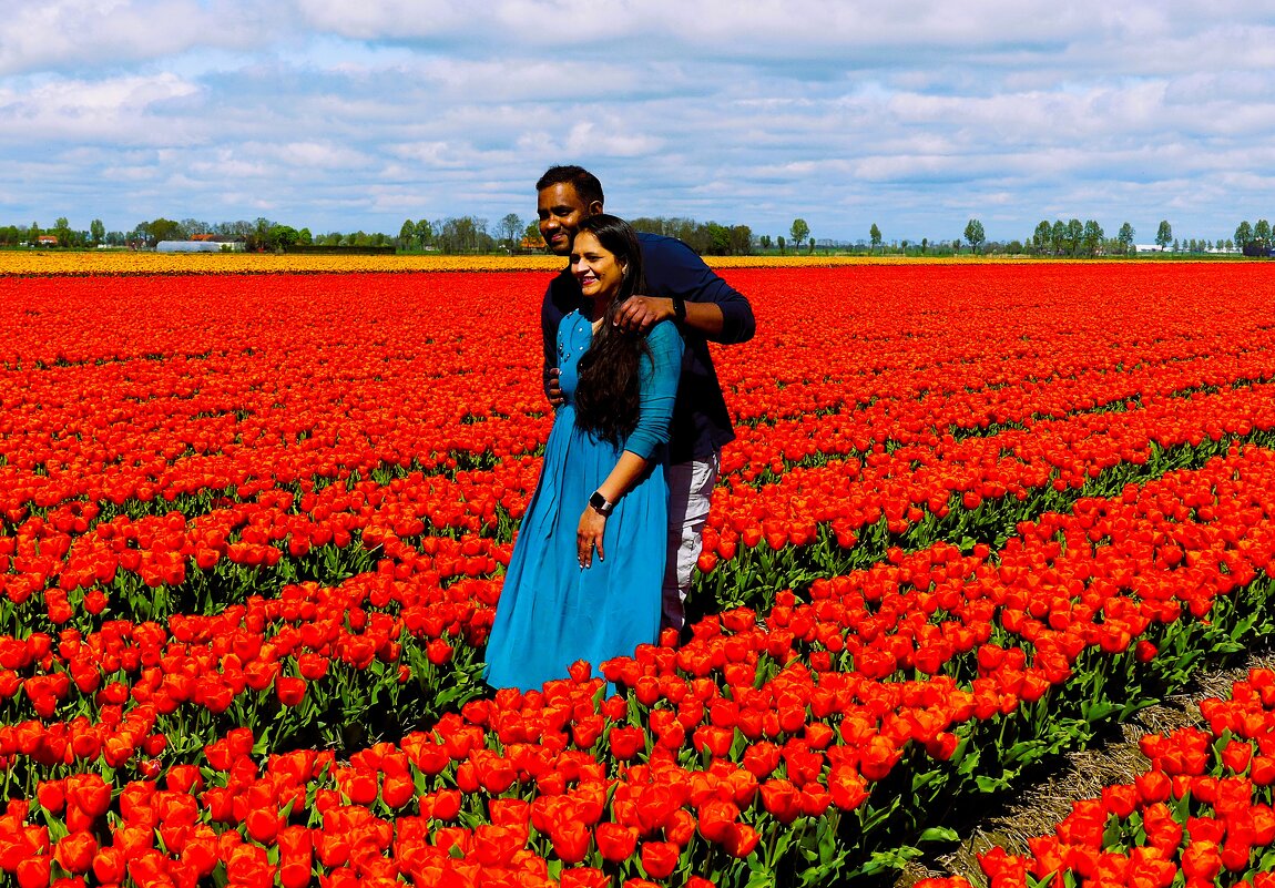 Королевство цветов(серия) - Владимир Манкер Королевство цветов(серия) - Владимир Манкер