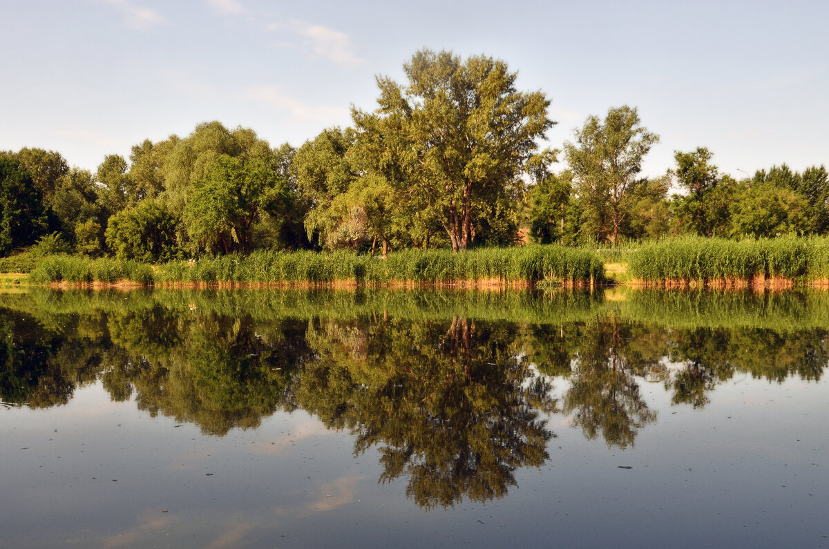 Утро на озере - Сергей М 