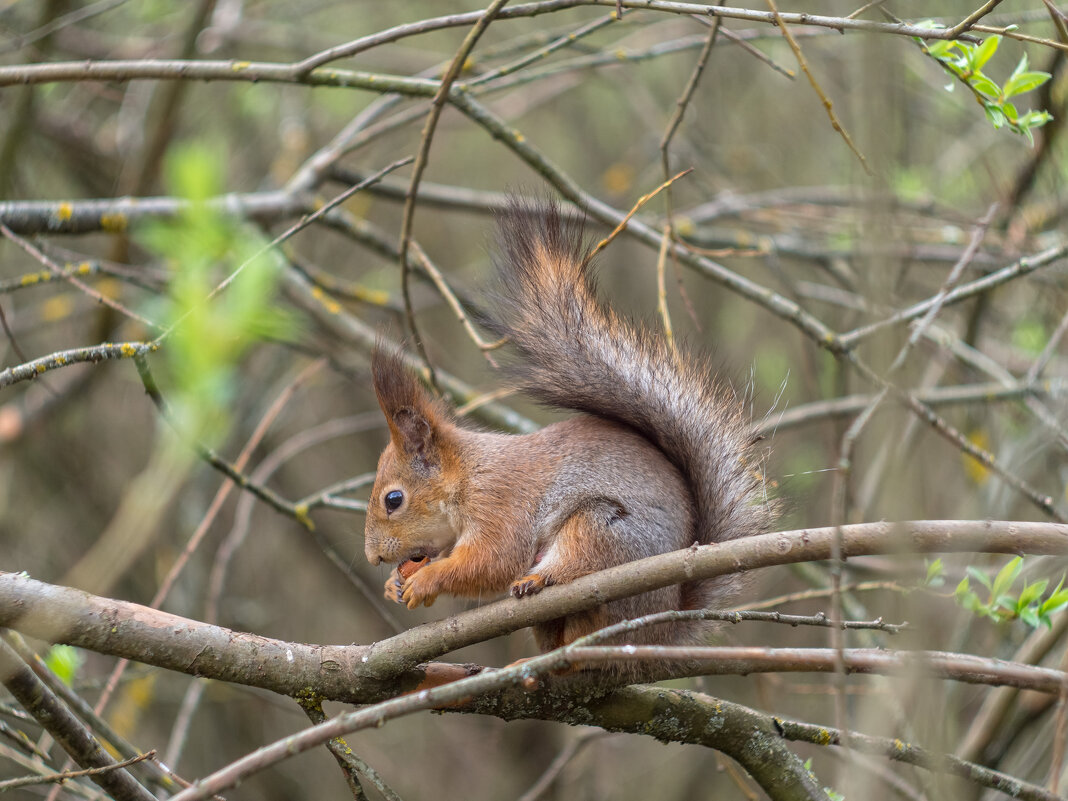 ___ - Yuriy V ___ - Yuriy V