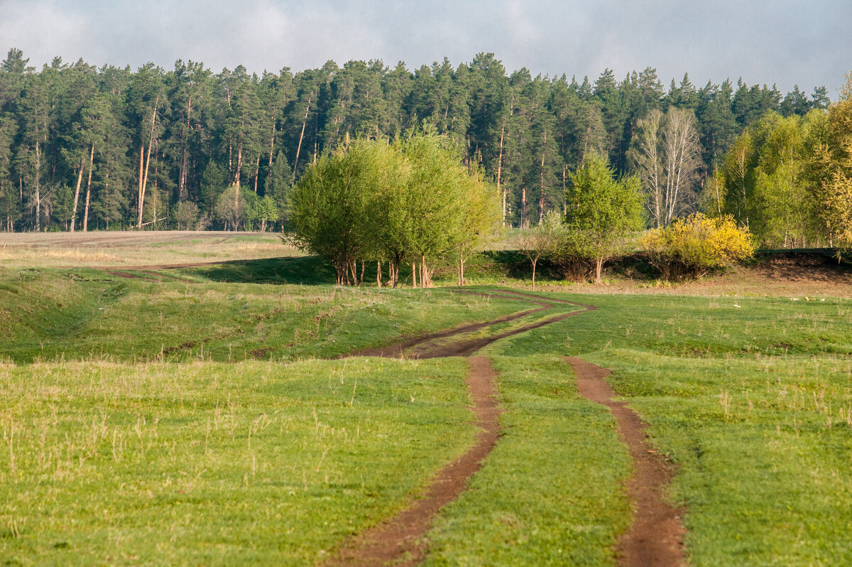 ... - Владимир Новиков