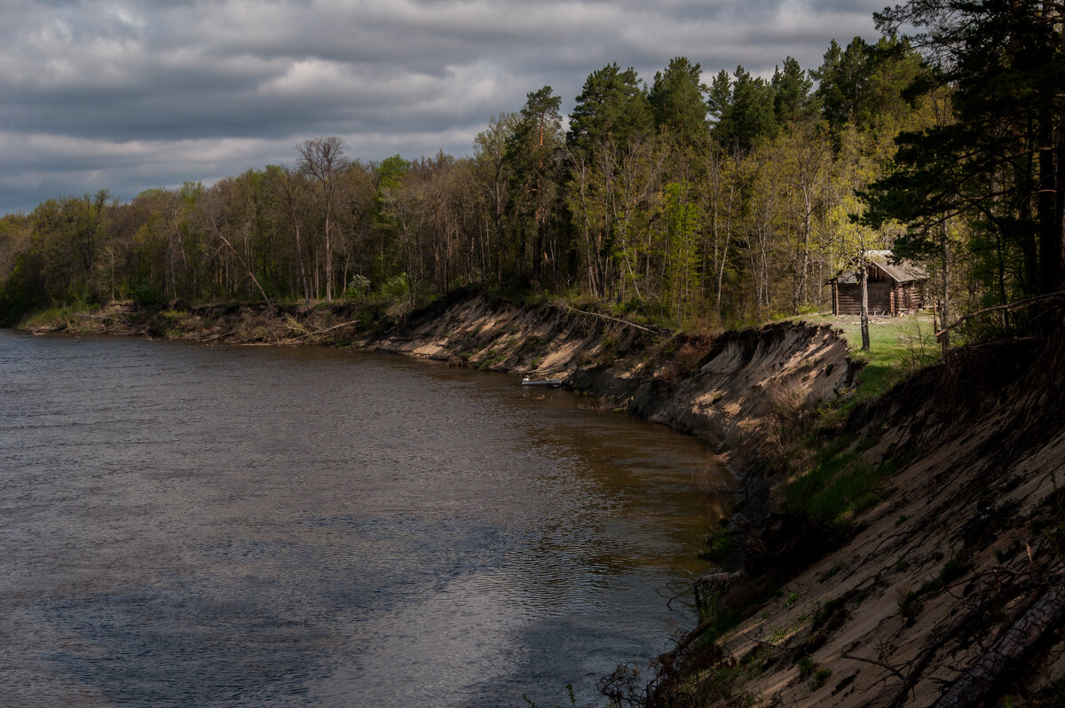 ... - Владимир Новиков