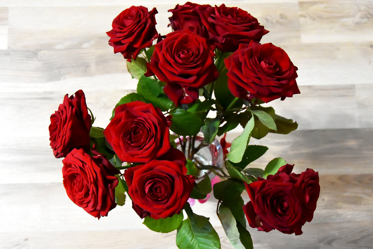 Розы. - Наташа ***** Розы. - Наташа *****