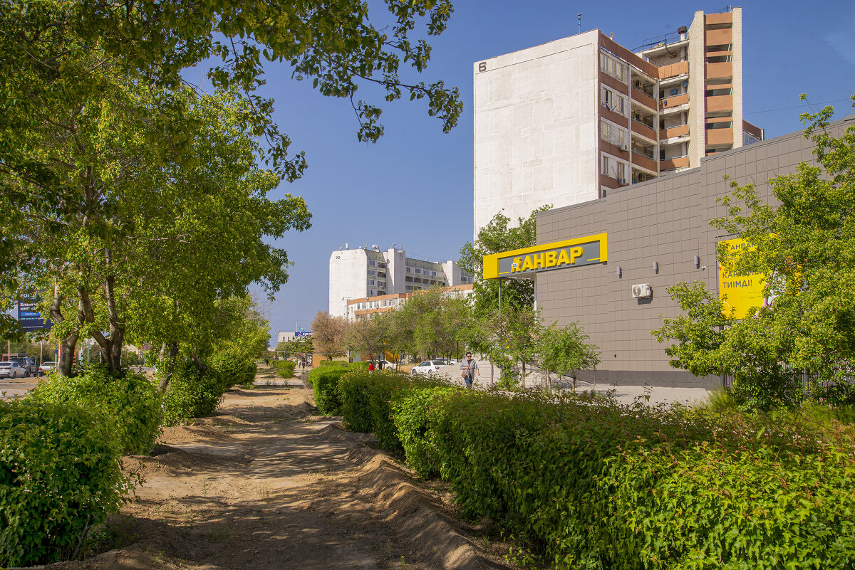 Аллея - Анатолий Чикчирный Аллея - Анатолий Чикчирный