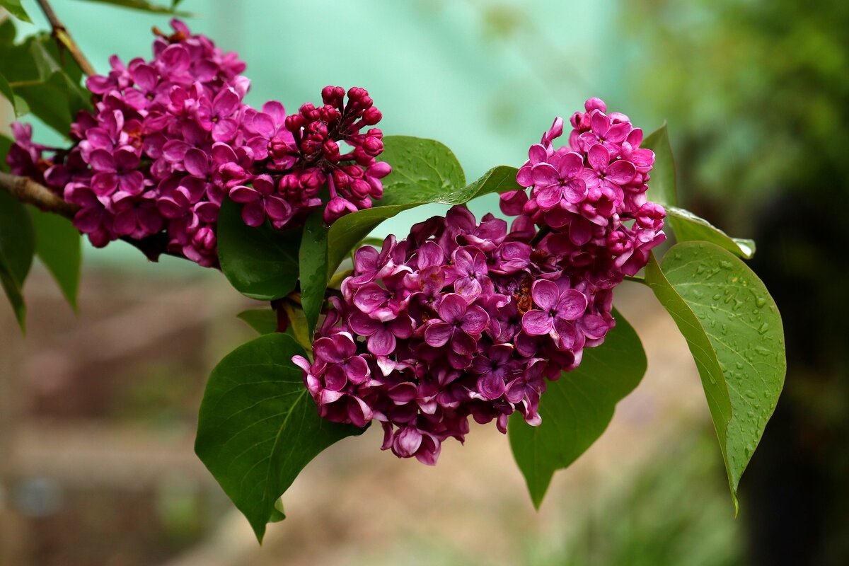 Доброе утро - Юрий. Шмаков Доброе утро - Юрий. Шмаков