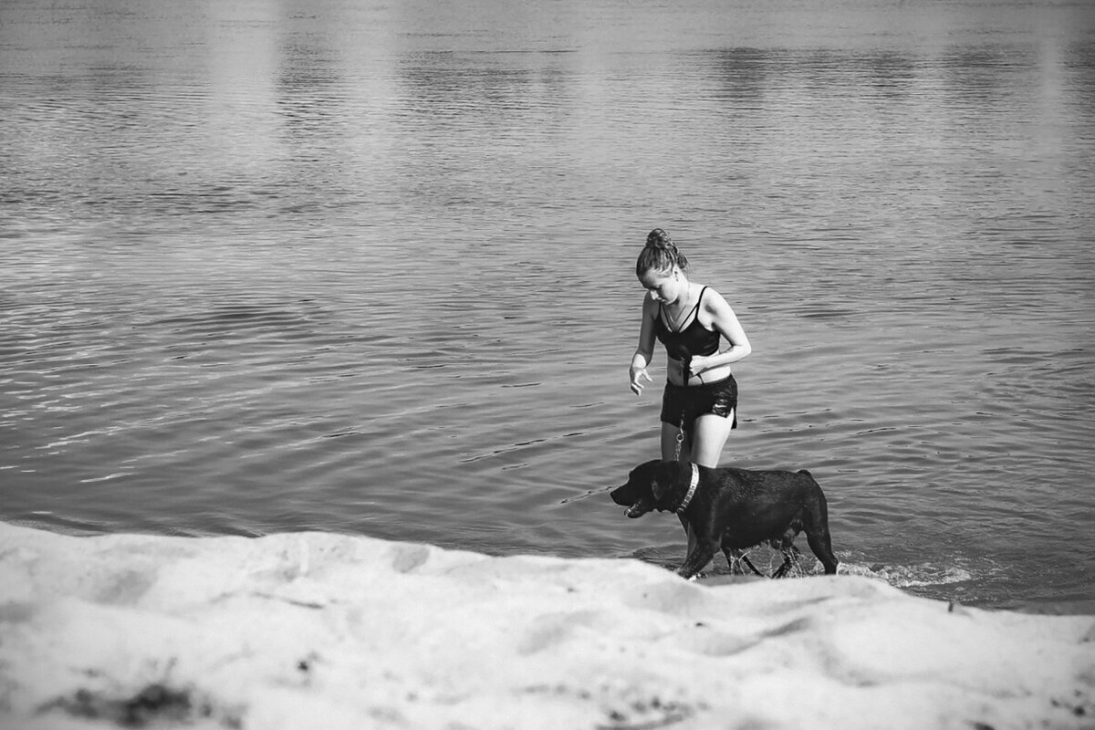 Друг, воспитанный тобой (чб) - Сергей Царёв Друг, воспитанный тобой (чб) - Сергей Царёв