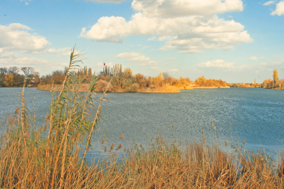 *** - Яна Горбунова