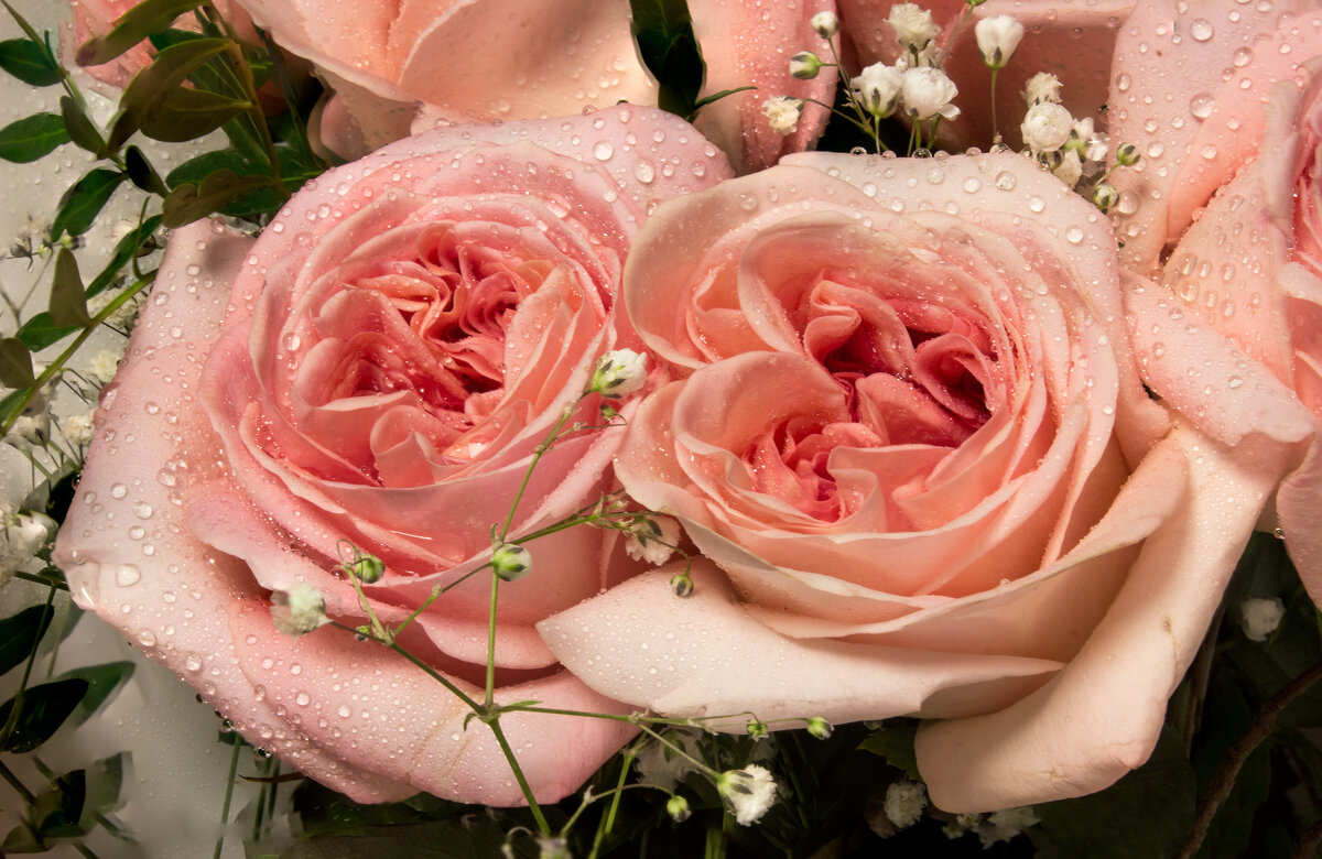 *** - Дмитрий Костоусов