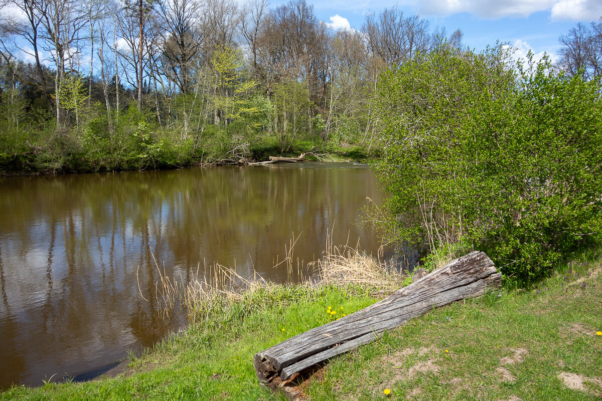 *** - Геннадий Порохов