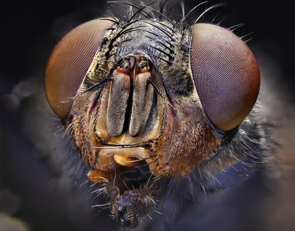 . - Игорь Осипов