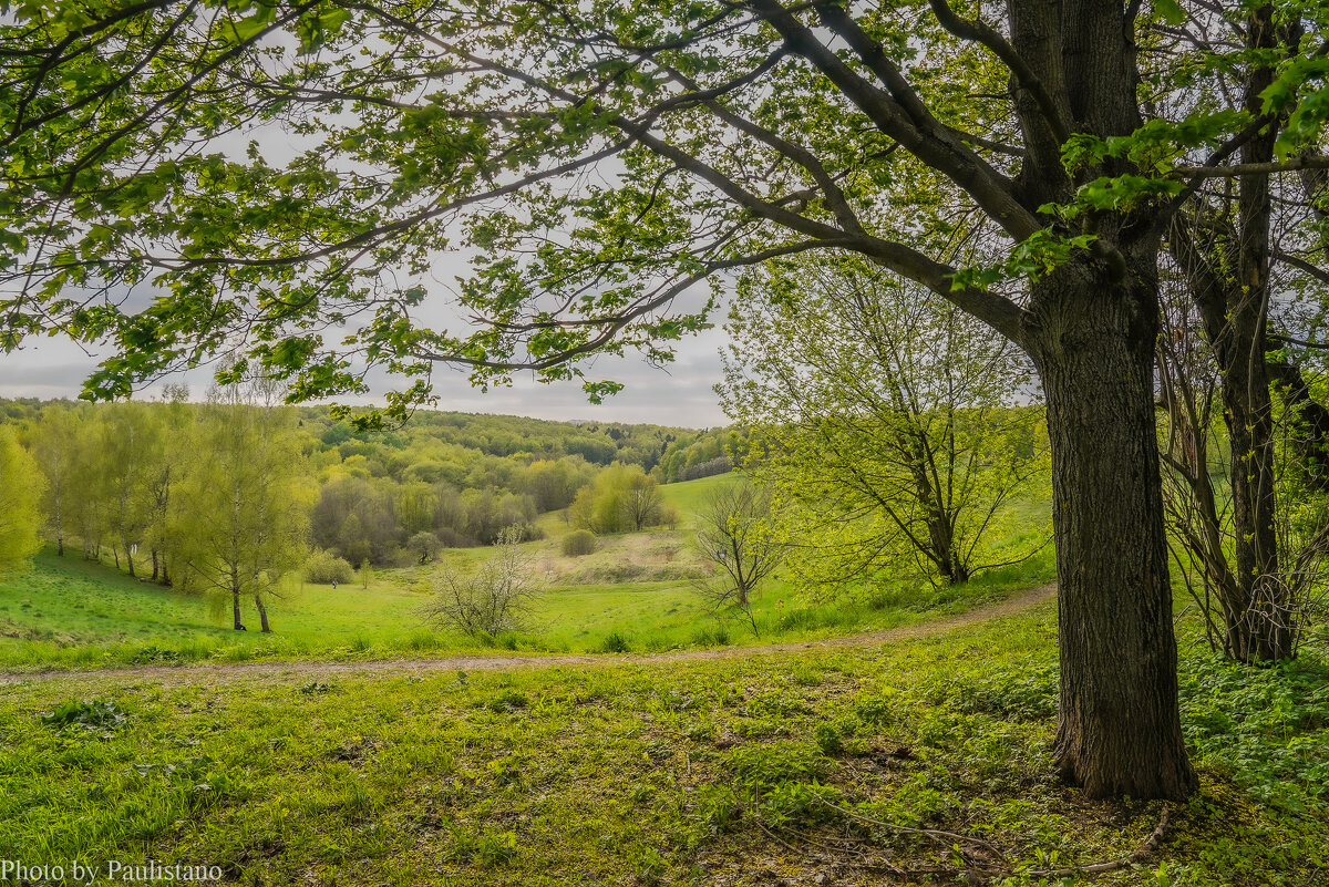 Холодный май... - Владимир Жданов Холодный май... - Владимир Жданов