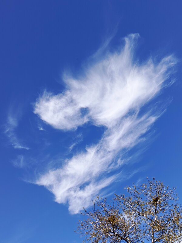 Облака - Татьяна Пальчикова Облака - Татьяна Пальчикова