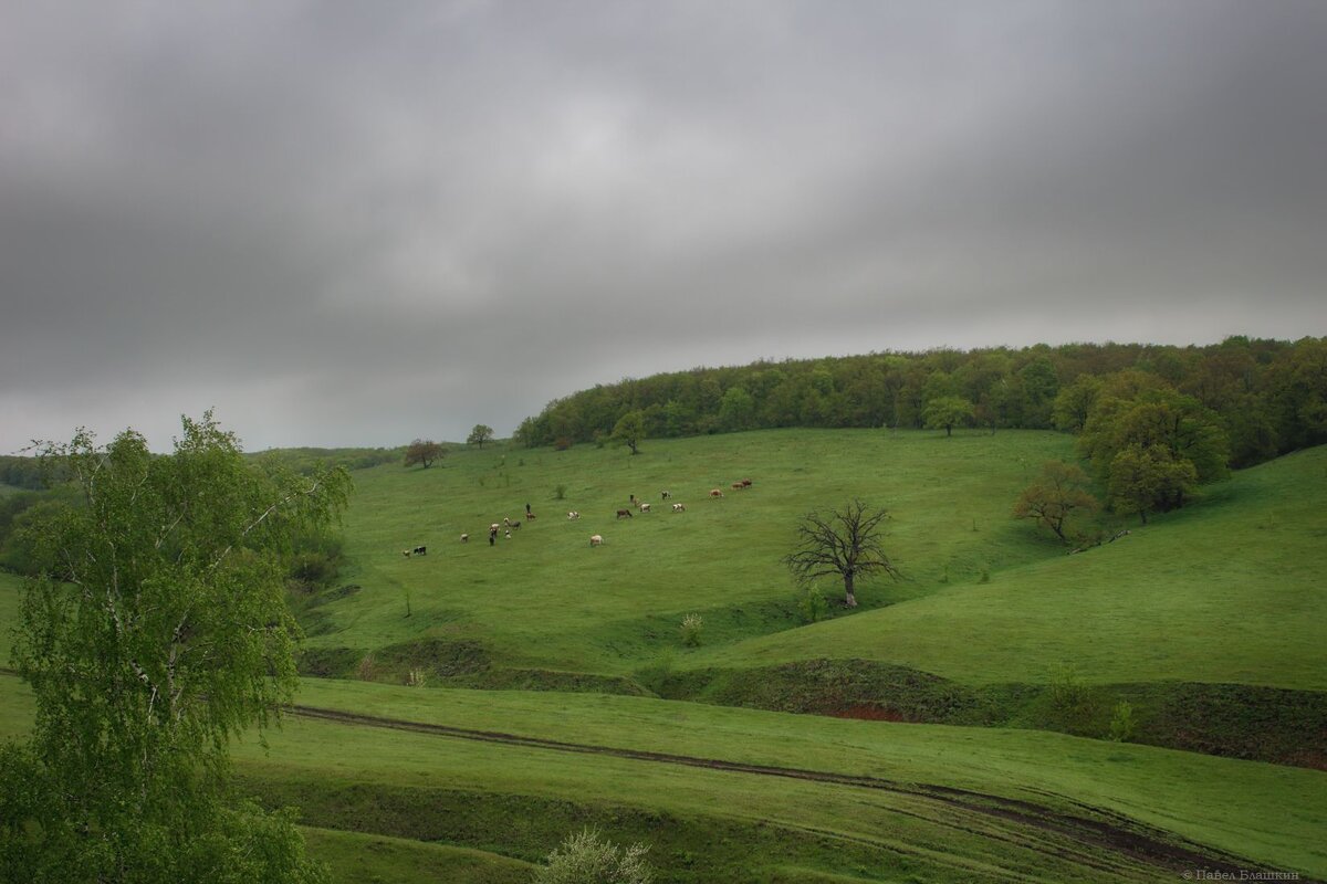 Будет дождь - Pavel Blashkin Будет дождь - Pavel Blashkin