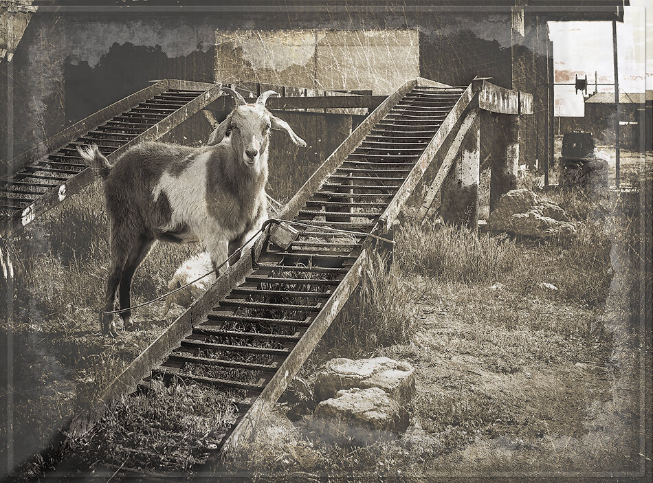 В очереди на эстакаду - Петр Фролов