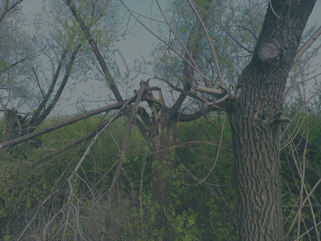 Старость не радость. - Игорь Солдаткин