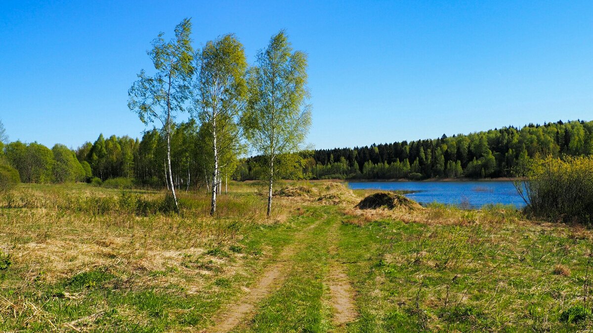 Смоленщина в мае - Милешкин Владимир Алексеевич Смоленщина в мае - Милешкин Владимир Алексеевич