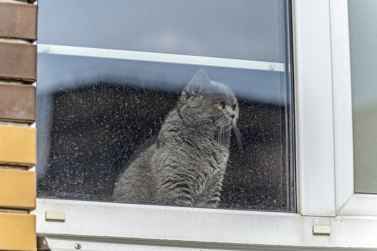 Скучно - Валерий Иванович
