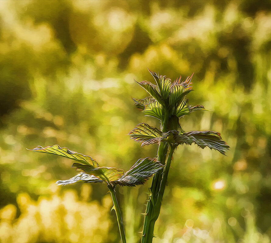***** - Андроник Александр 