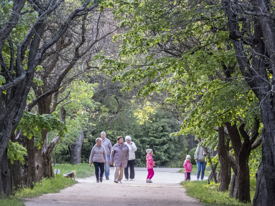 Кленовая аллея в сказочном саду - Валентин Семчишин Кленовая аллея в сказочном саду - Валентин Семчишин
