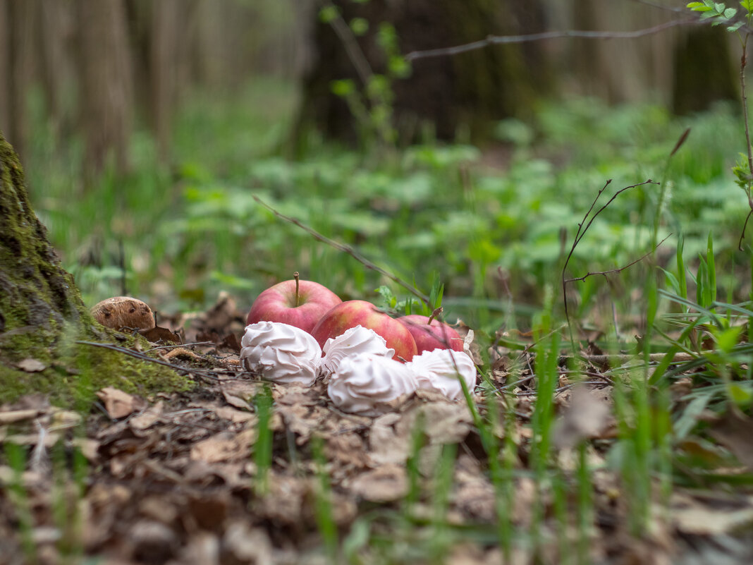 ___ - Yuriy V ___ - Yuriy V