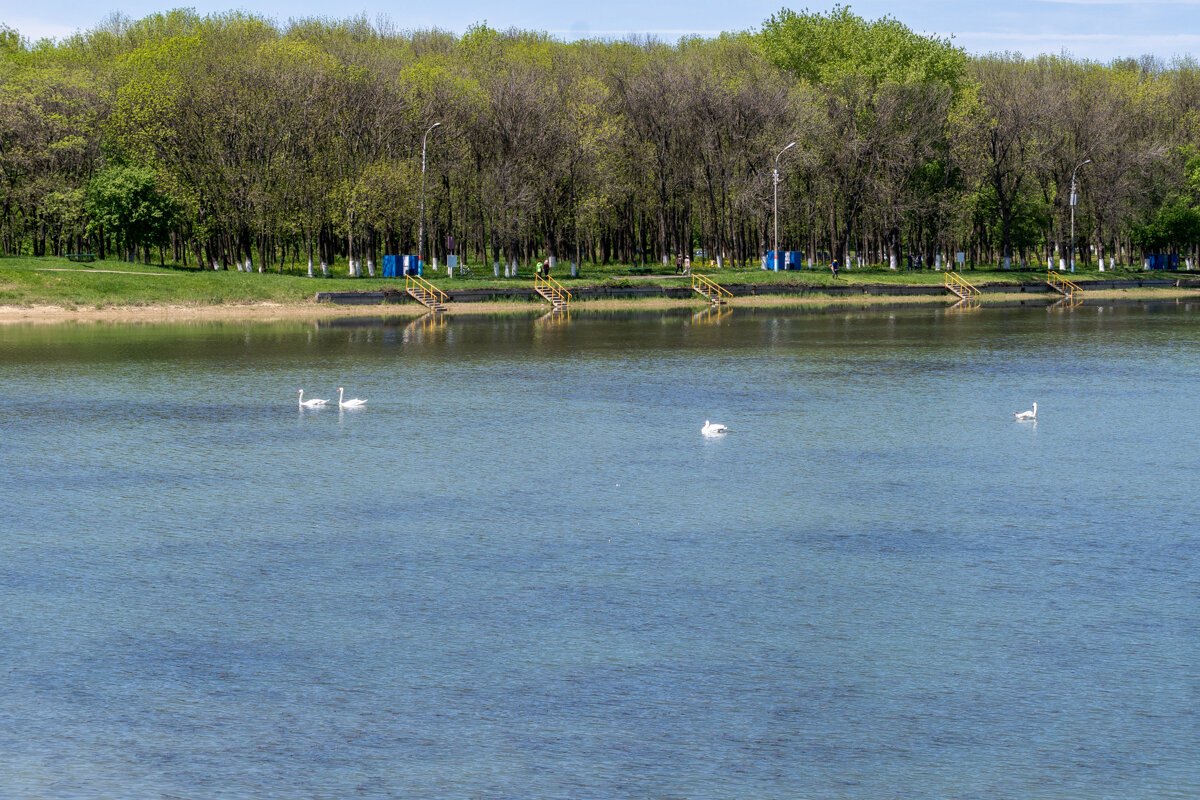 Городское водохранилище - Игорь Сикорский