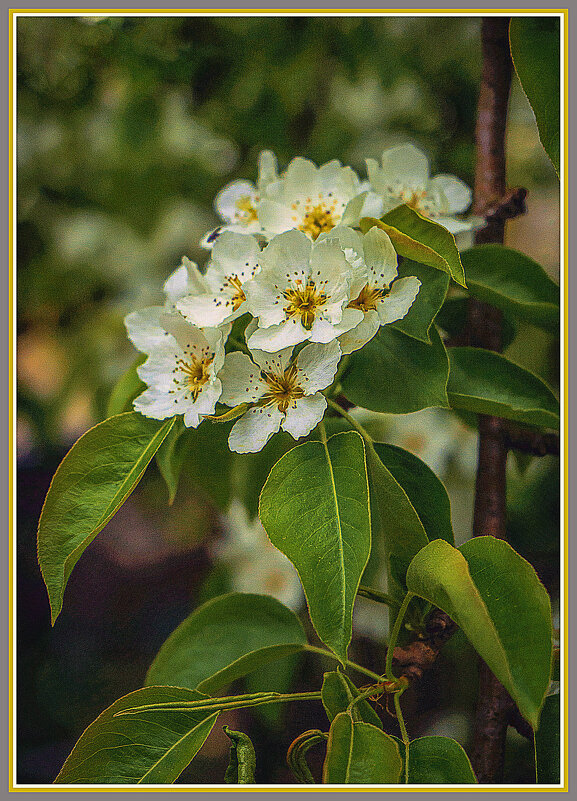 Весеннее - Владимир Кроливец Весеннее - Владимир Кроливец