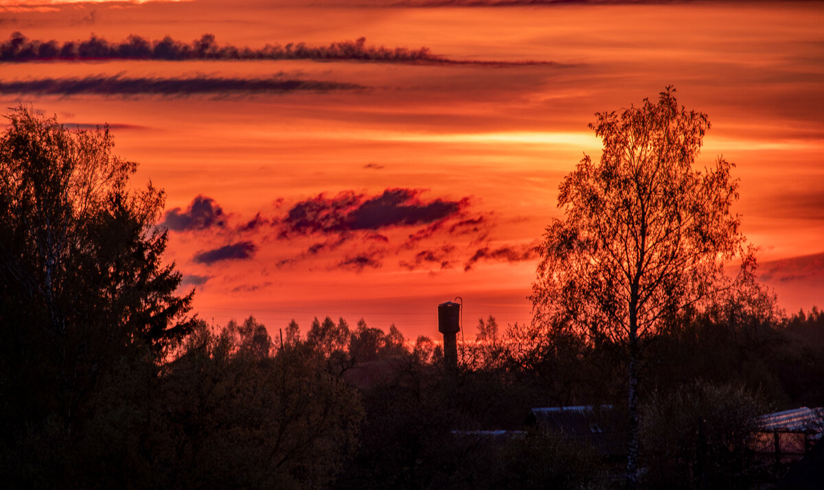 Красота - Sergei Vikulov Красота - Sergei Vikulov
