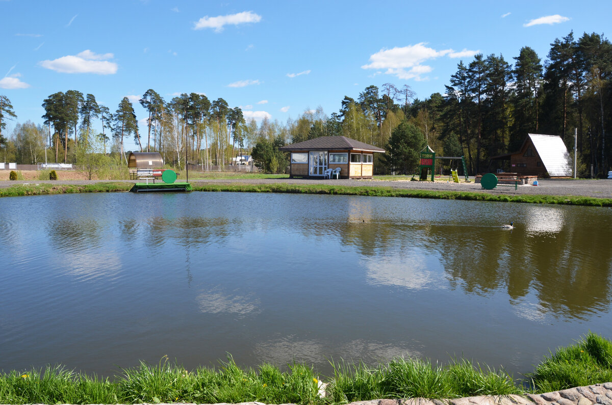 Московская область. г. Пушкино. Осетровая ферма. - Наташа ***** Московская область. г. Пушкино. Осетровая ферма. - Наташа *****