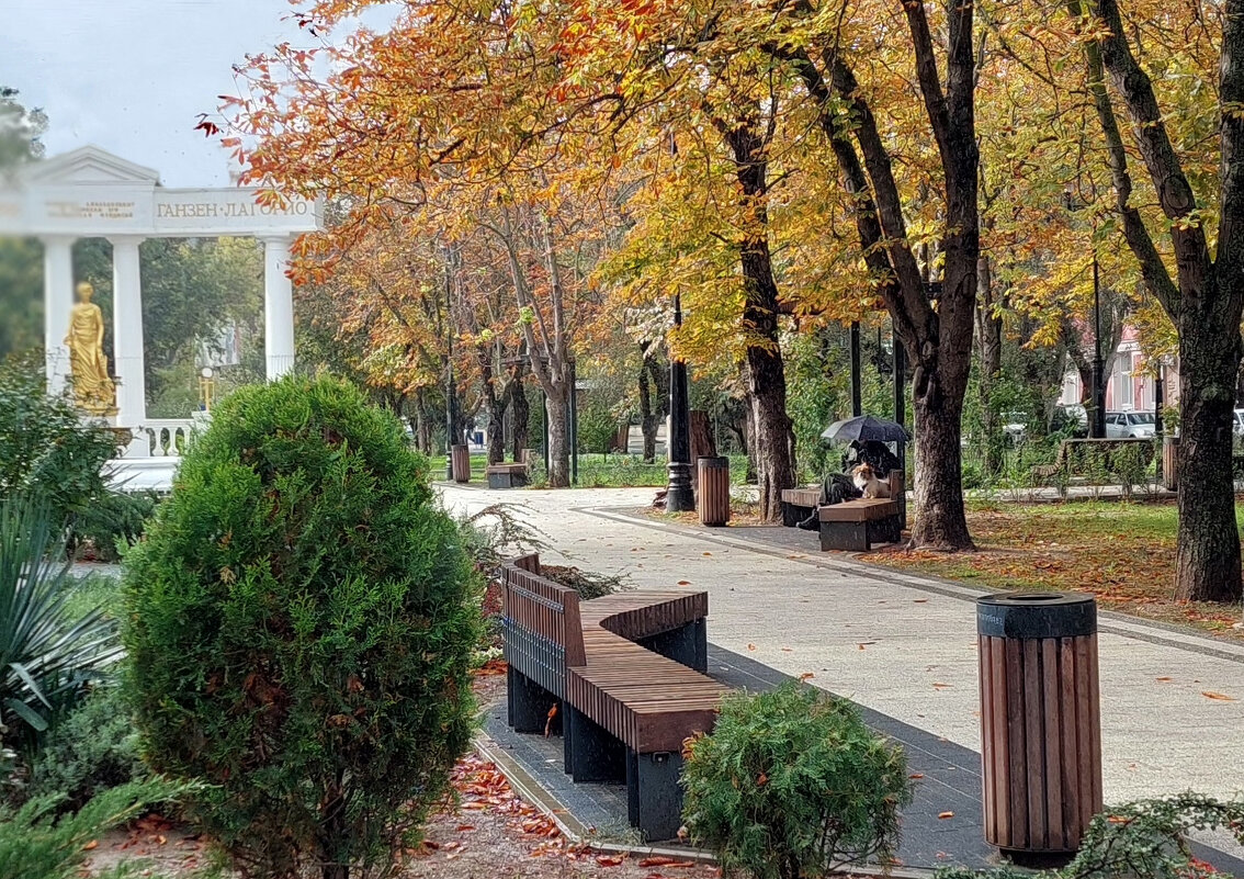 в парке Феодосии - ИРЭН@ . в парке Феодосии - ИРЭН@ .