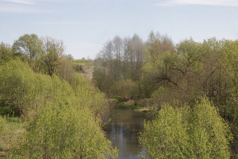 Родной простор. - Вячеслав. Синицын
