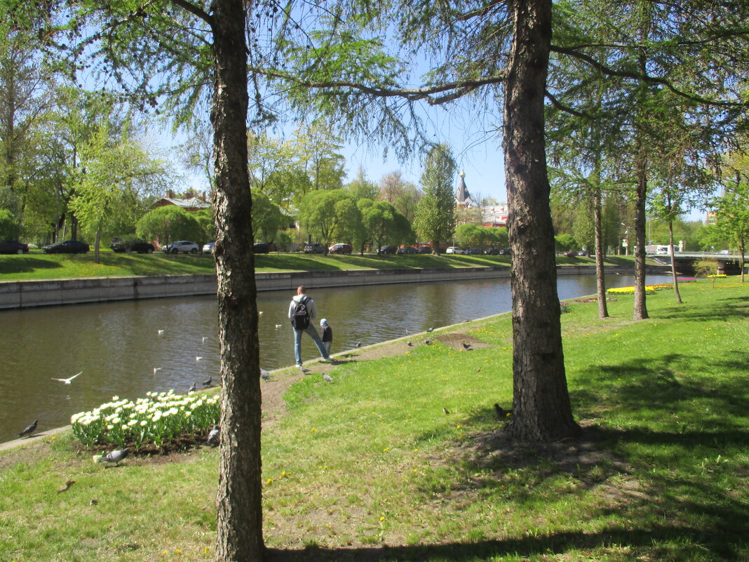 На прогулке. - Татьяна Ф * На прогулке. - Татьяна Ф *