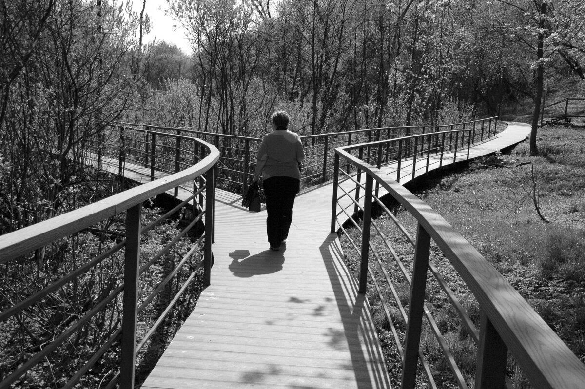 На перепутье. - Борис Бутцев