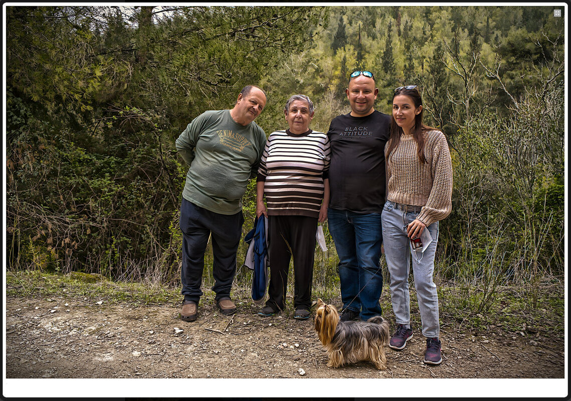 ПРОГУЛКИ - ujgcvbif ПРОГУЛКИ - ujgcvbif