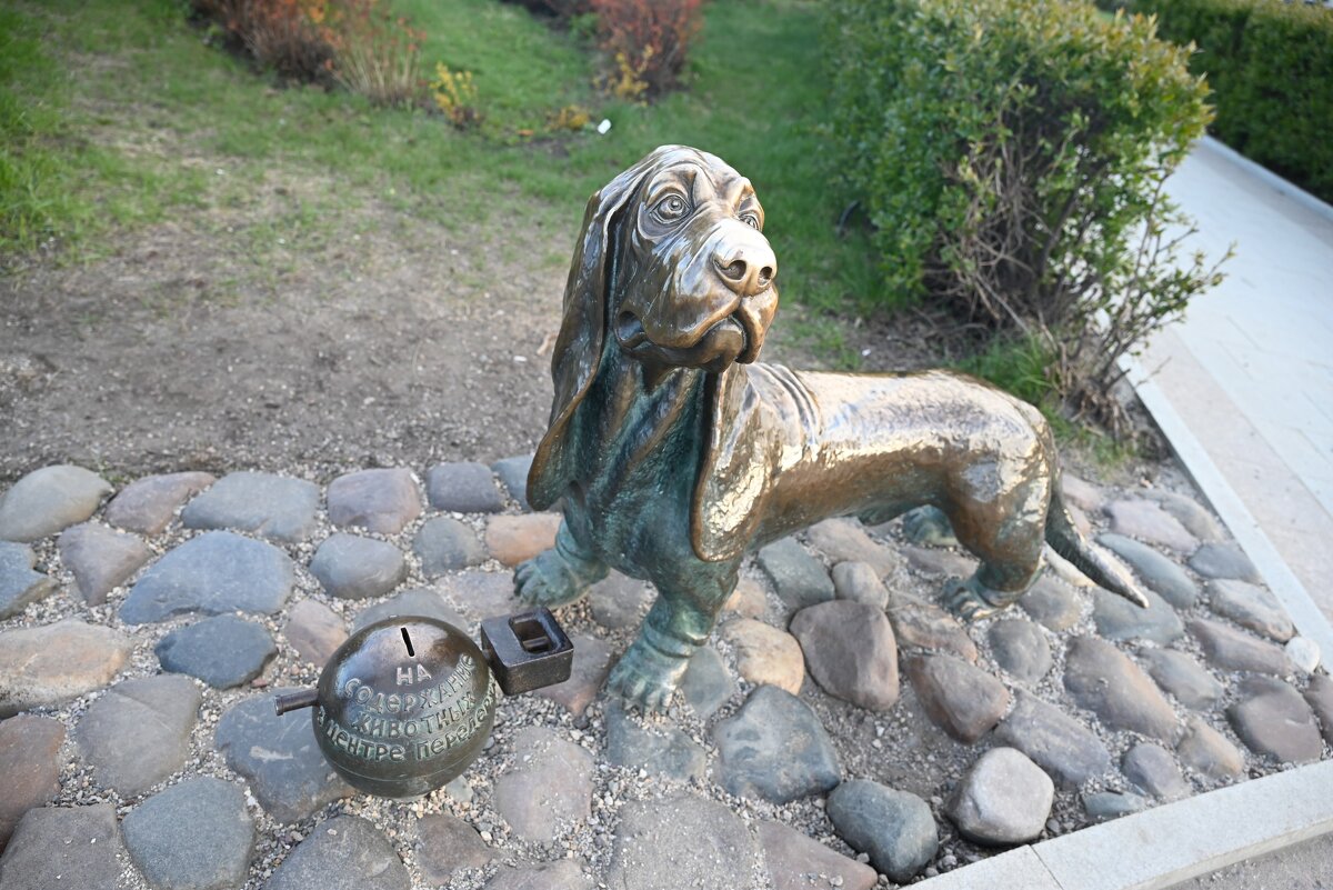 Такса) - Митяй Митрич