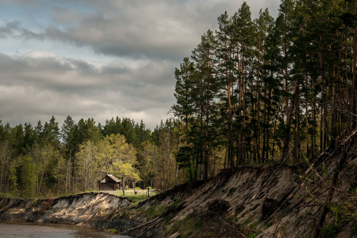 ... - Владимир Новиков