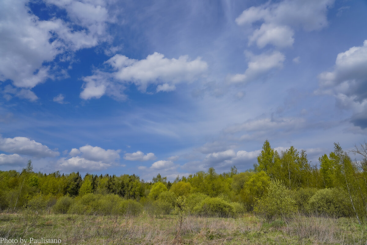 В поле... - Владимир Жданов