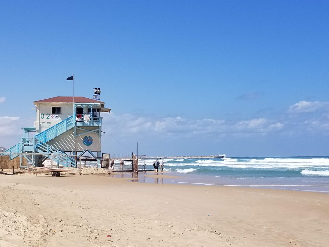 Чёрный флаг это значит -…….…. - Светлана Хращевская Чёрный флаг это значит -…….…. - Светлана Хращевская