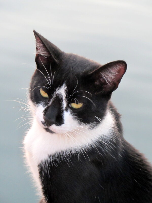 Фотомодель - Валерий 