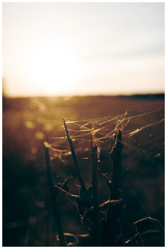 *** - someone somewere