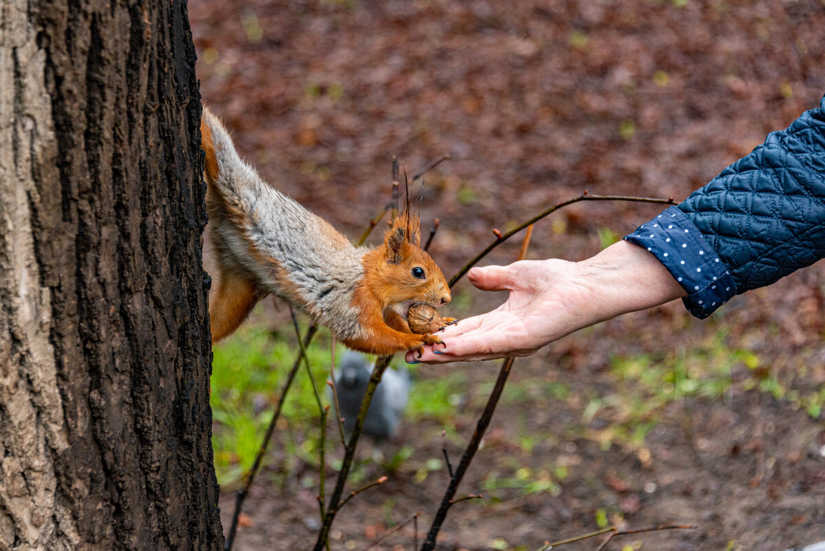 связь с природой - Дмитрий Лупандин