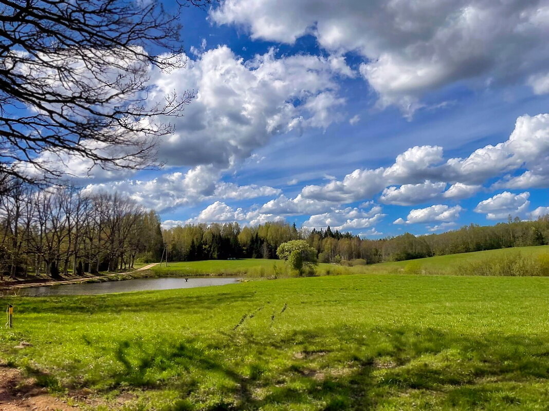 Spring 2025 1m - Arturs Ancans