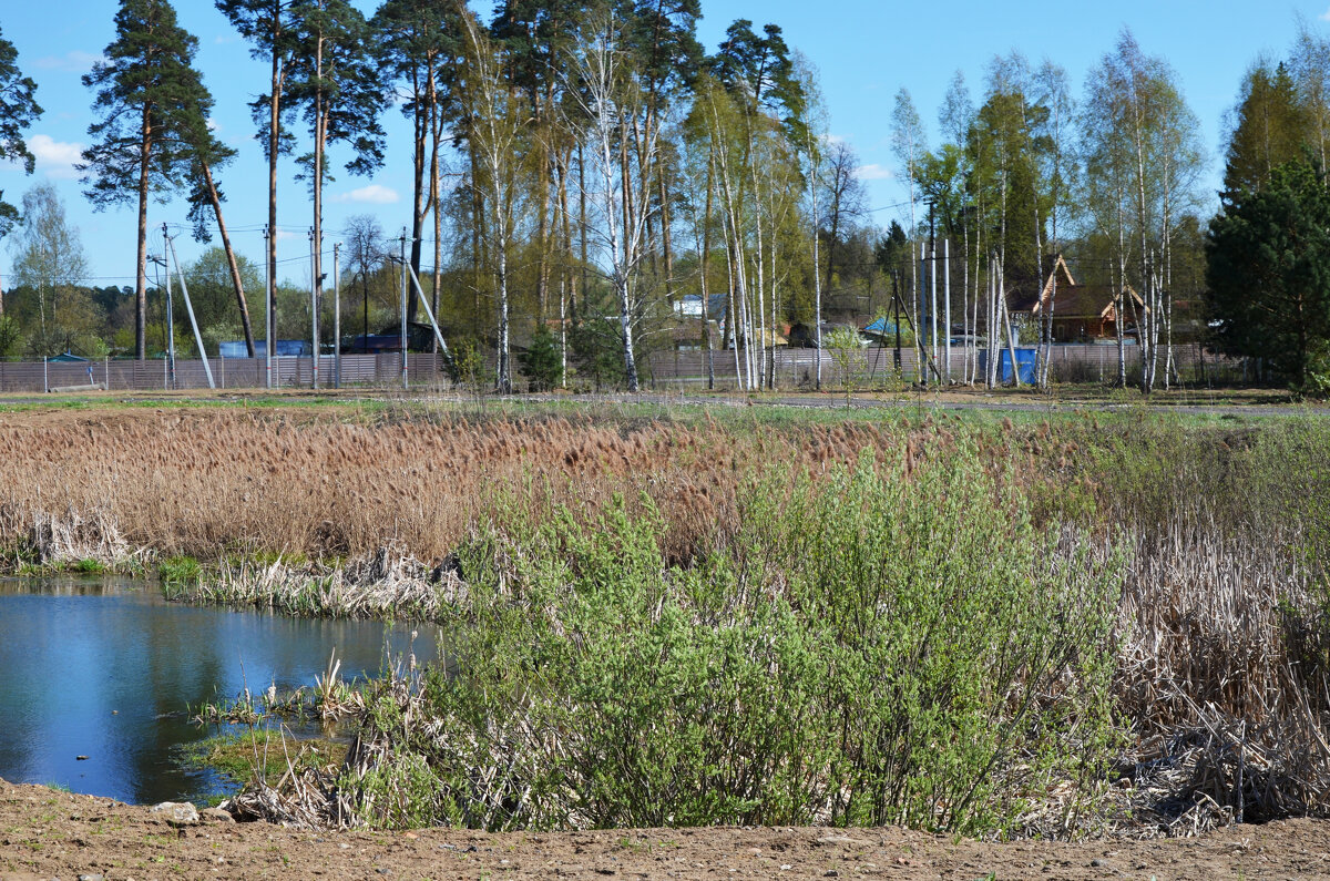 Московская область. г. Пушкино. Осетровая ферма. - Наташа ***** Московская область. г. Пушкино. Осетровая ферма. - Наташа *****
