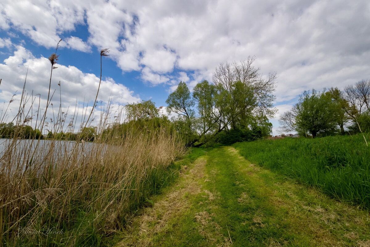 По скошенной траве... - Николай Гирш По скошенной траве... - Николай Гирш