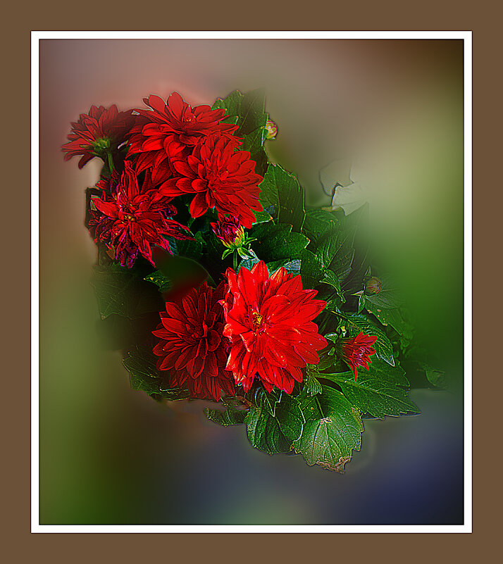 ЦВЕТЕНИЕ - Владимир Кроливец ЦВЕТЕНИЕ - Владимир Кроливец