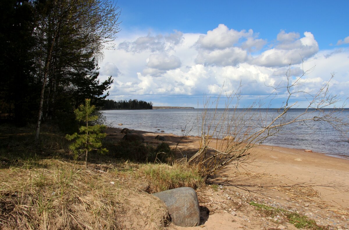 Ладожское Озеро - Наталья Герасимова