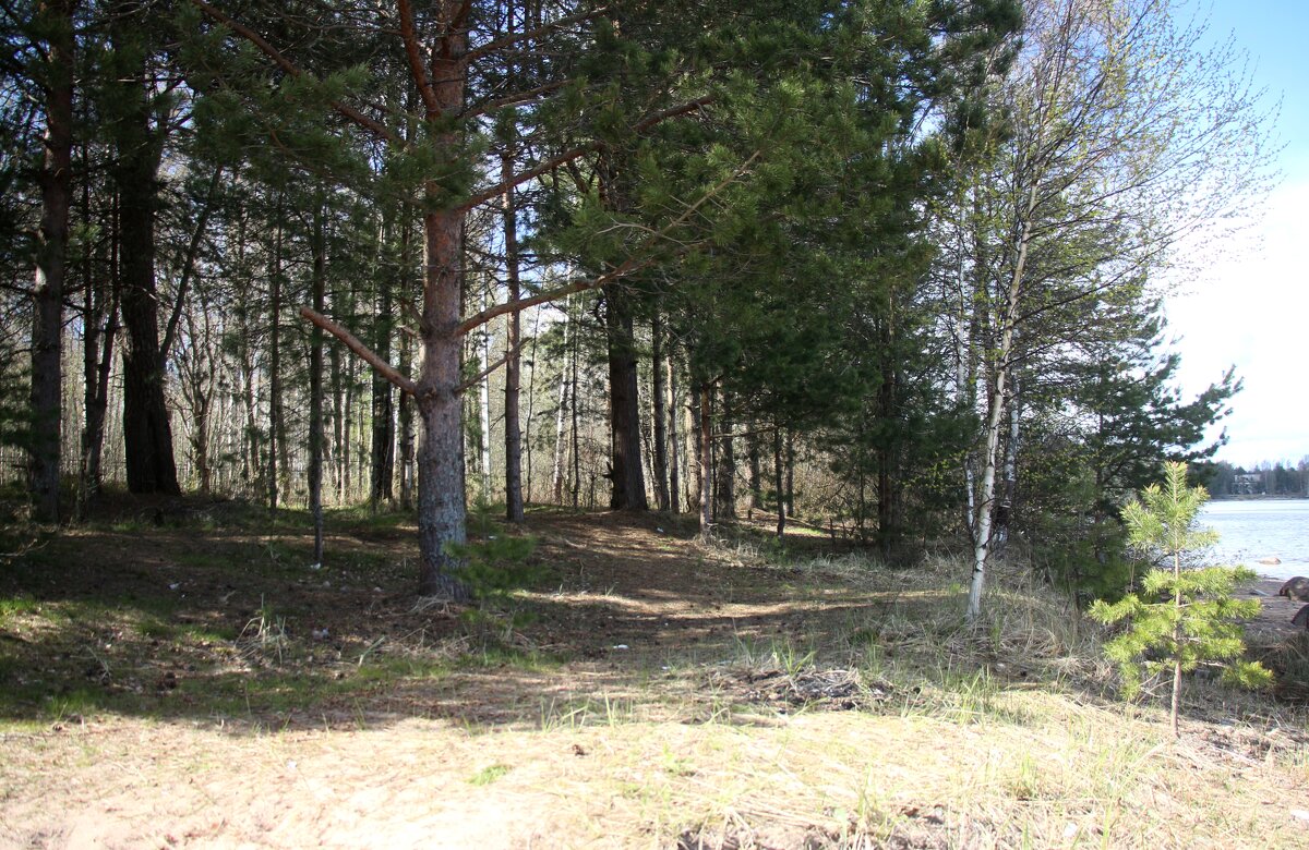 Ладожское Озеро - Наталья Герасимова